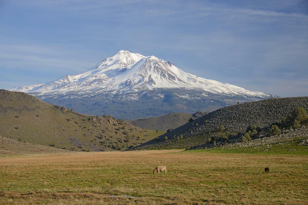 Inn At Mount Shasta Buitenkant foto